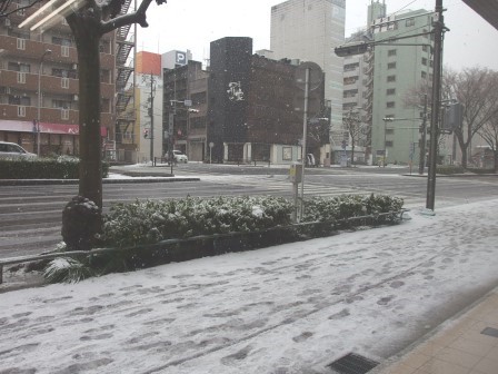 本日は雪♪_f0248512_10542245.jpg