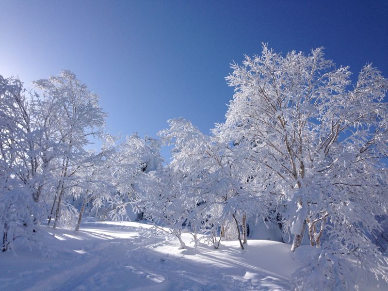 晴れると気分も晴れる_c0154313_2050342.jpg