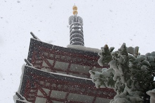 c0248013_15502154.jpg