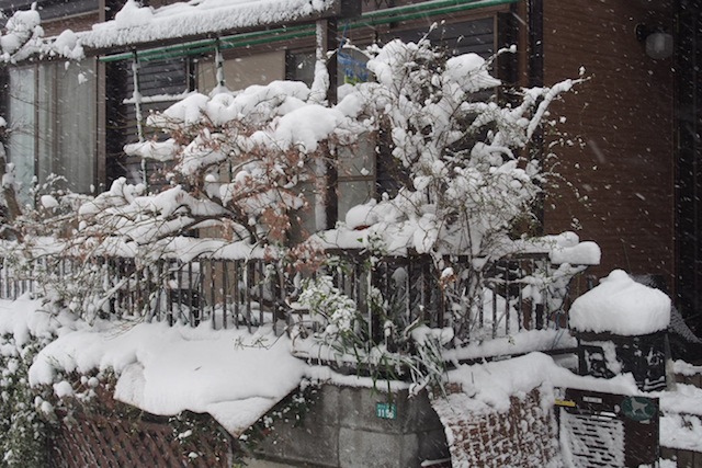 c0248013_1557577.jpg