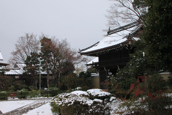 源光庵 14雪景色12_e0048413_1944171.jpg