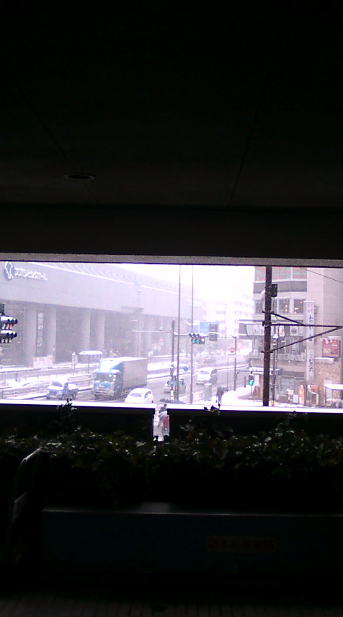 【東京は大雪です。】_e0094315_1214791.jpg