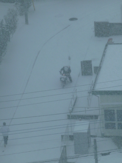 2014 雪の日と猫の足跡_e0237625_1238720.jpg
