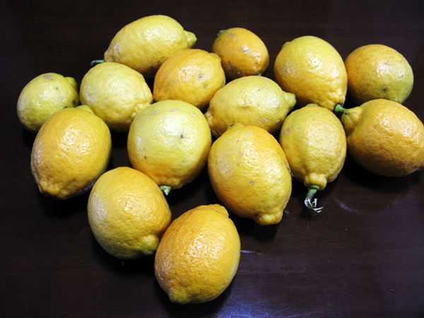 レモン_f0129726_22571162.jpg
