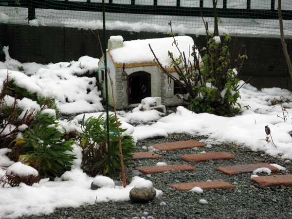 レモン_f0129726_2315540.jpg