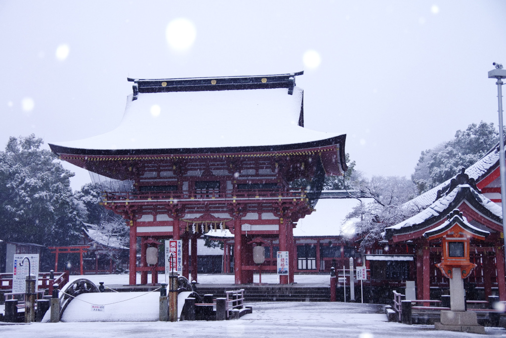 津島の初雪_d0250028_1725937.jpg