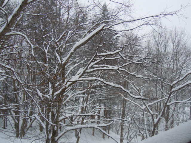 f0114128_2232974.jpg