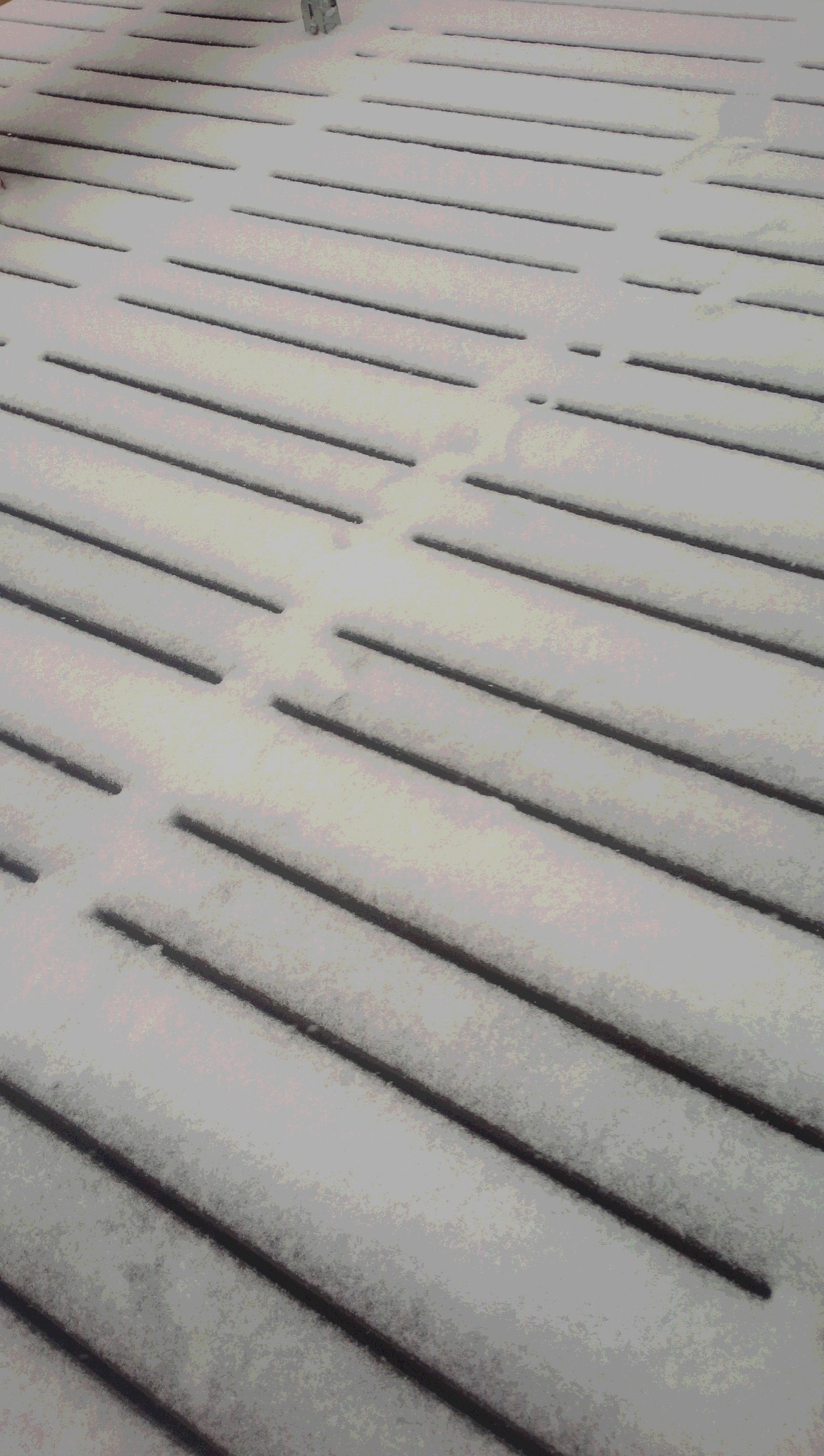朝からの雪は今！！_d0112533_13103292.jpg