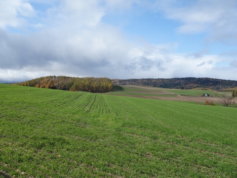 b0042334_15163559.jpg
