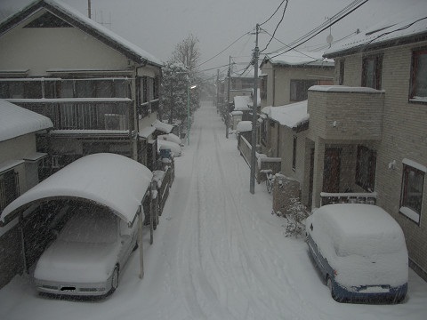 記録的大雪　あしたの選挙はどうなるだろう_d0013340_22150788.jpg