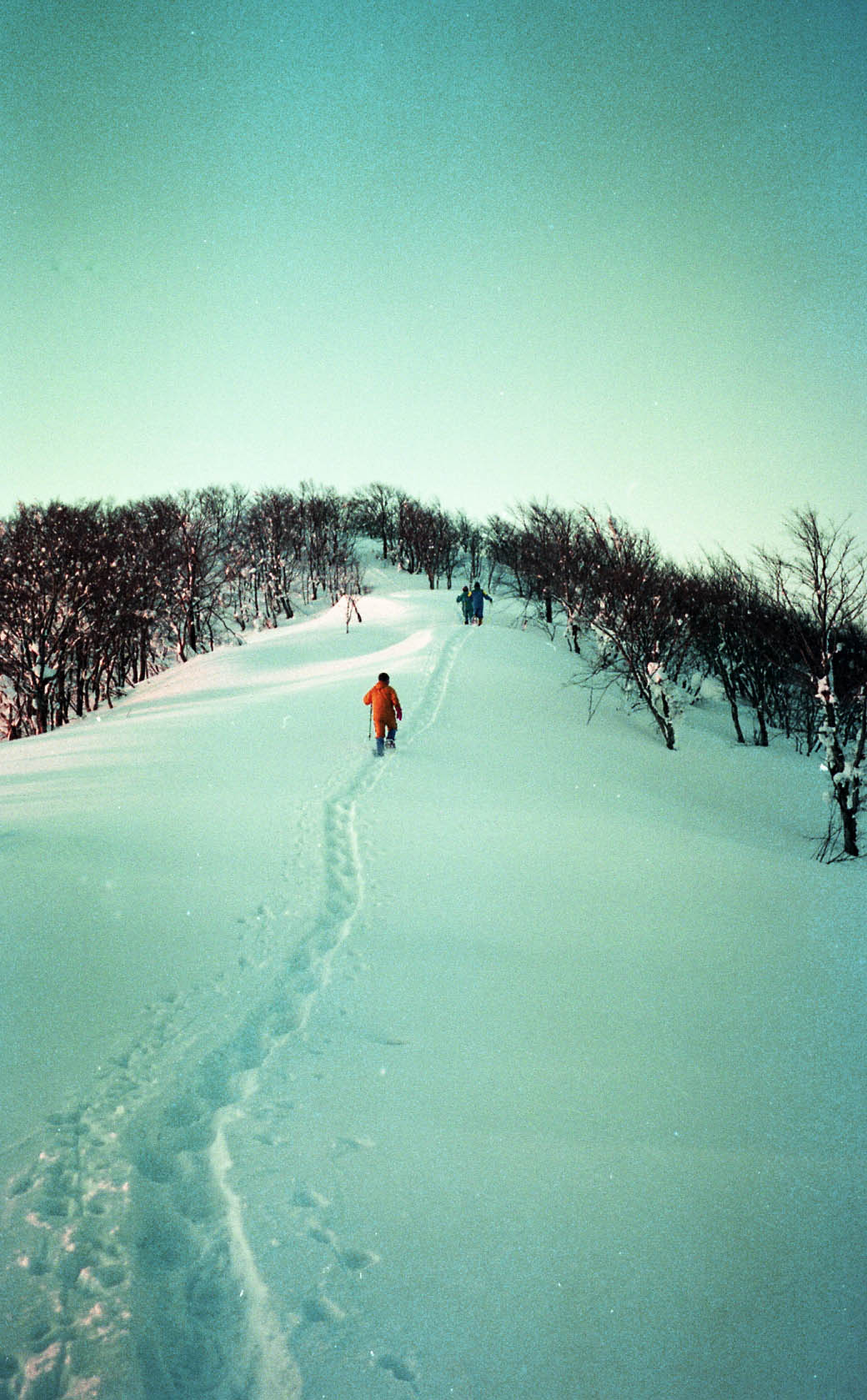 d0237340_14901.jpg