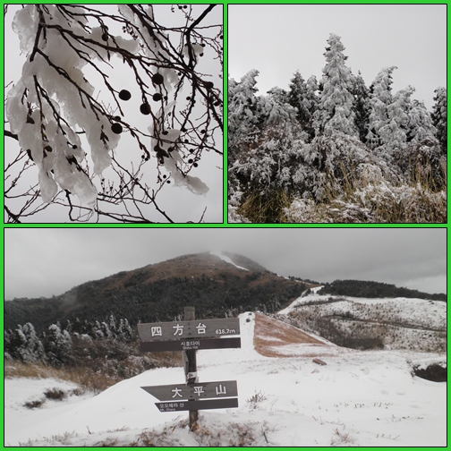 平尾台の雪景色_e0164643_2148526.jpg