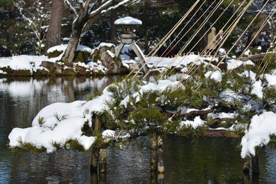 雪の兼六園（１）_c0093046_20441417.jpg