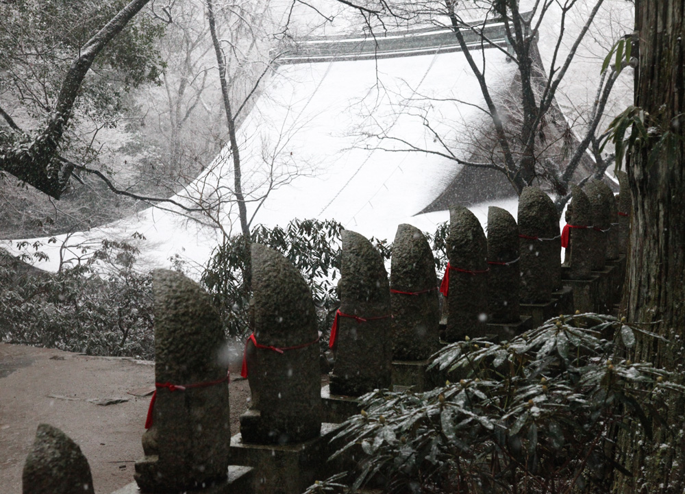 宇陀市　室生寺　本堂　雪景色_c0108146_22214150.jpg