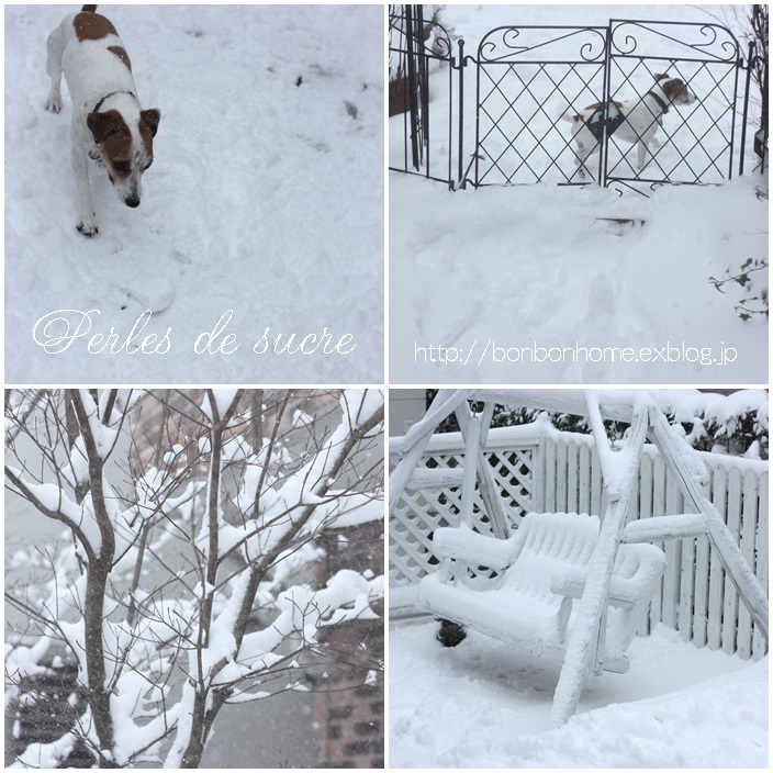 大雪です!!_f0199750_20180628.jpg