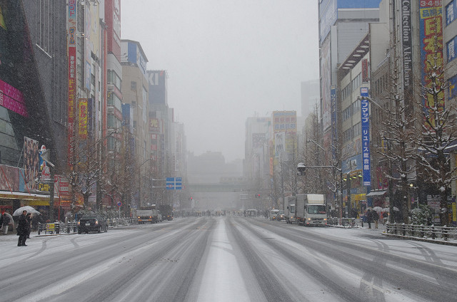 c0080357_158577.jpg