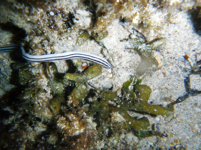 c0180460_0214310.jpg