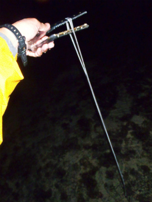 c0180460_022247.jpg
