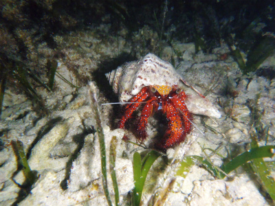 c0180460_0223256.jpg