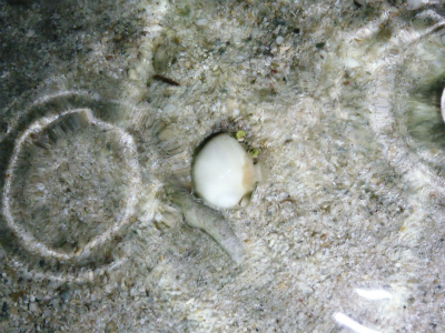 c0180460_023338.jpg