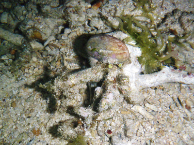 c0180460_024159.jpg