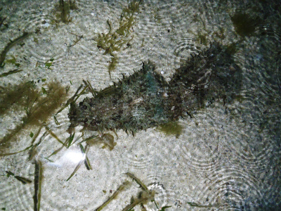 c0180460_0281539.jpg