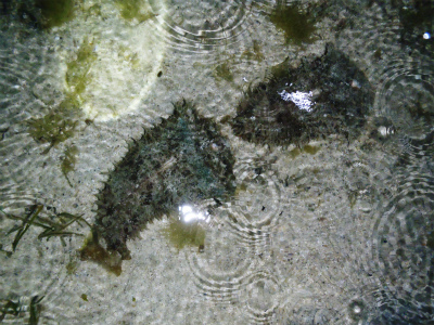 c0180460_0285636.jpg