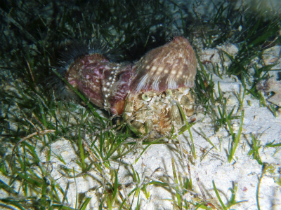 c0180460_0315146.jpg