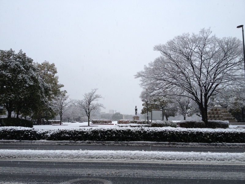 今朝の広島は　雪　。　_c0328963_1736890.jpg