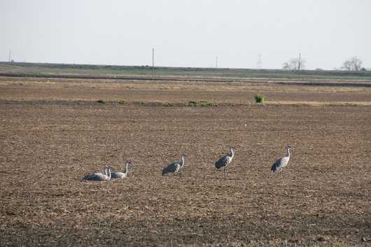 c0115366_14583179.jpg
