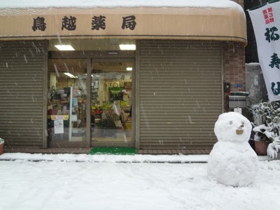 2014.2.8  大雪　＠浅草橋_f0230666_210983.jpg