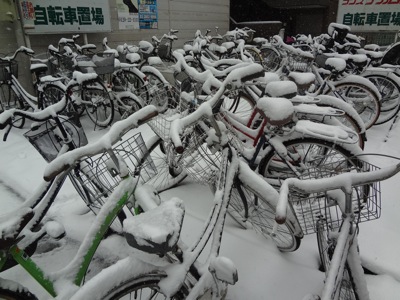 2014.2.8  大雪　＠浅草橋_f0230666_211257.jpg