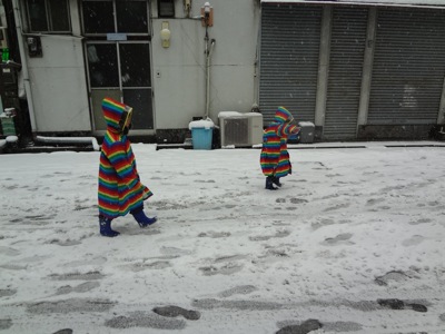 2014.2.8  大雪　＠浅草橋_f0230666_2114884.jpg