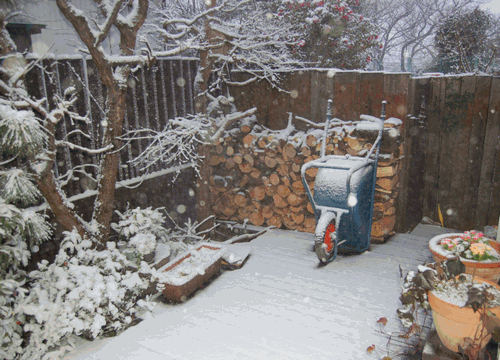 b0158170_08474413.gif