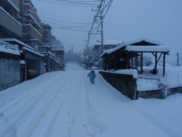 大雪警報発令中_c0122670_17352411.jpg