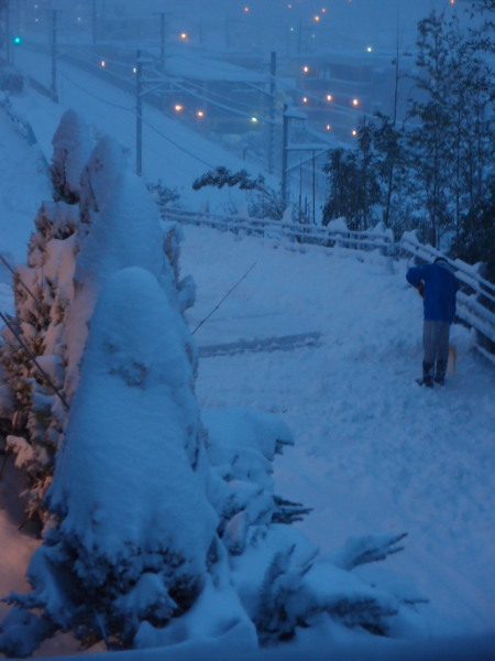 大雪警報発令中_c0122670_17371556.jpg