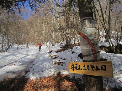 守屋山　　それがさ、霧氷あったんよ♪　_f0302771_1510699.jpg