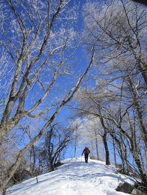 守屋山　　それがさ、霧氷あったんよ♪　_f0302771_15141847.jpg