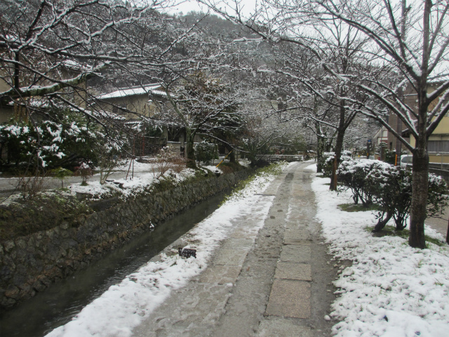 雪が降ったので、京都へ行ってきた_e0106372_1531257.jpg