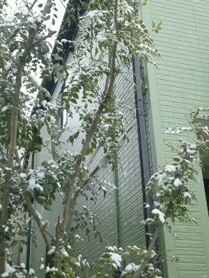 f0238772_12424331.jpg