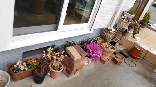 c0064678_1044266.jpg