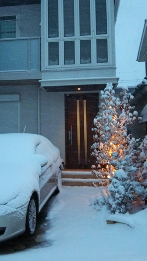 c0064678_17425817.jpg
