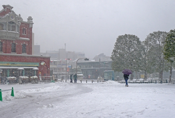 都内も大雪…_a0248481_16381996.jpg