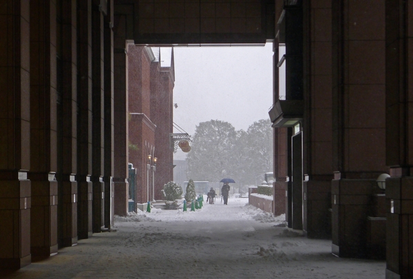 都内も大雪…_a0248481_16404449.jpg