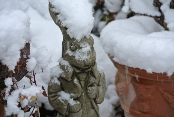 ❄雪に埋もれた庭のオーナメント❄_b0299185_1637146.jpg