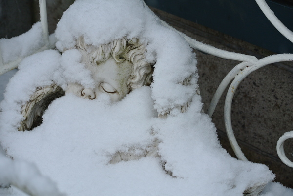 ❄雪に埋もれた庭のオーナメント❄_b0299185_1645271.jpg