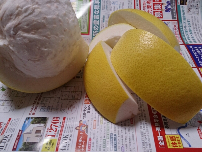 c0301085_12412686.jpg