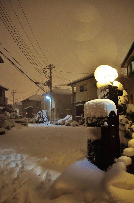 大雪_a0126590_22422087.jpg