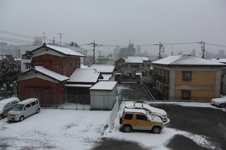 c0151691_1283455.jpg