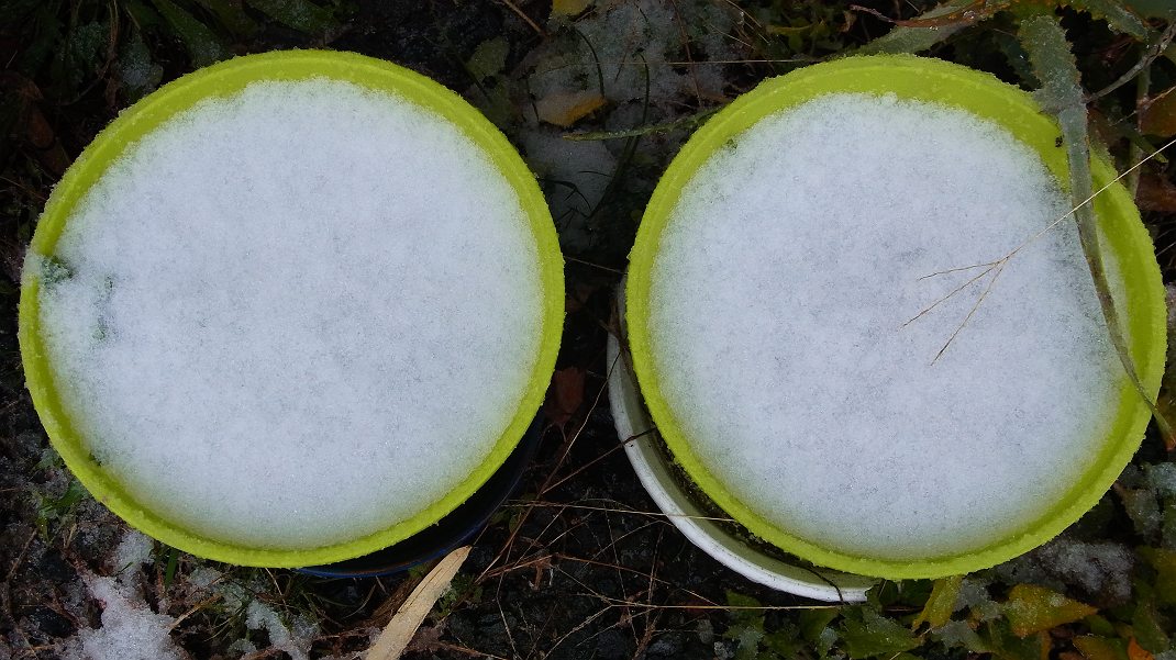 a0152692_17282098.jpg